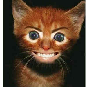 Meet your Posher, Nic